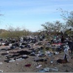 The Beautiful Sonoran Desert in Arizona.