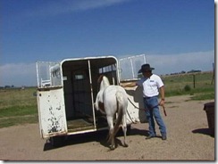 horsetrailer