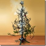 10 Biggest Myths about Christmas Trees