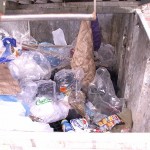 Trash Baby Con